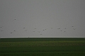 Resize of _MG_0226